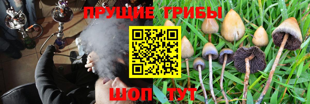 Галлюциногенные грибы Psilocybine cubensis  Вход с VPN  Донецк 